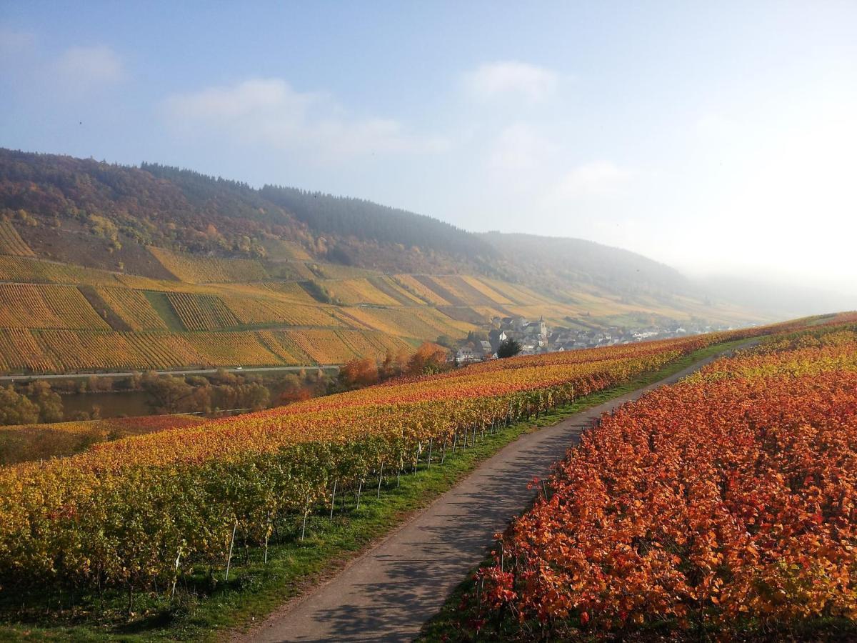 Weingut-Brennerei-Gaestehaus Emil Dauns Reil Exteriér fotografie