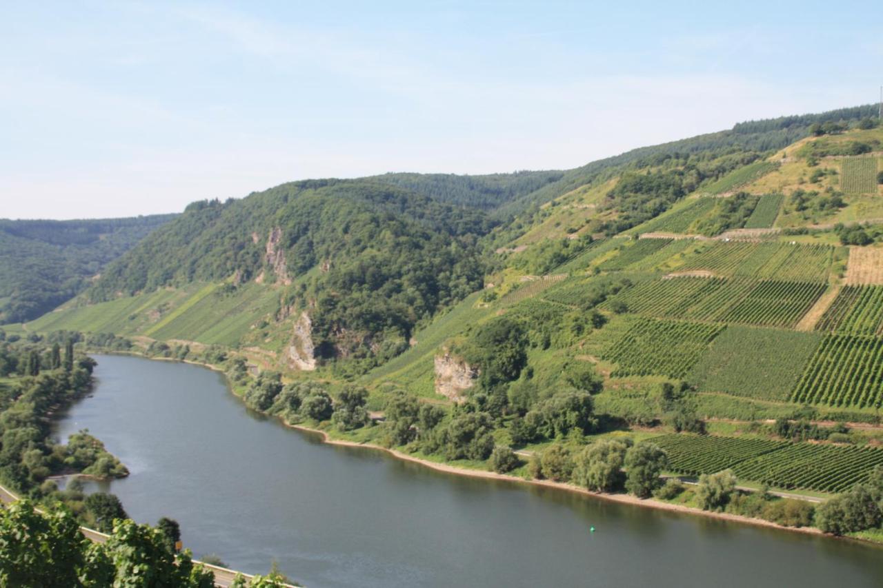 Weingut-Brennerei-Gaestehaus Emil Dauns Reil Exteriér fotografie
