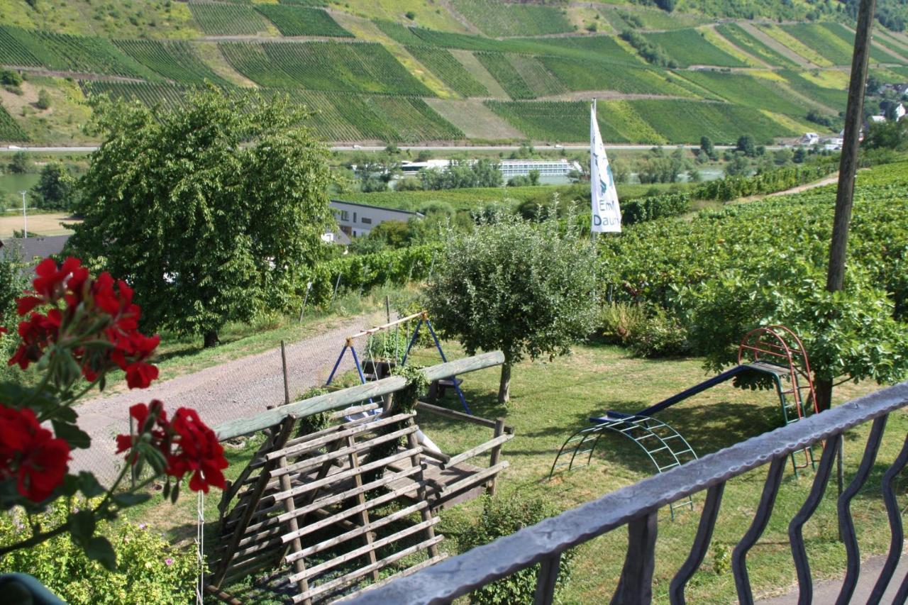 Weingut-Brennerei-Gaestehaus Emil Dauns Reil Exteriér fotografie