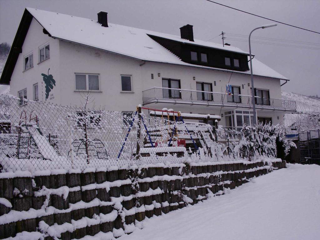 Weingut-Brennerei-Gaestehaus Emil Dauns Reil Exteriér fotografie