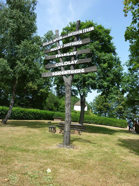 Weingut-Brennerei-Gaestehaus Emil Dauns Reil Exteriér fotografie