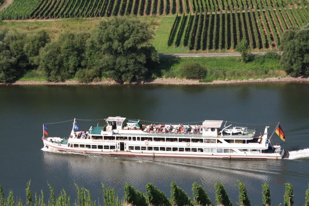 Weingut-Brennerei-Gaestehaus Emil Dauns Reil Exteriér fotografie
