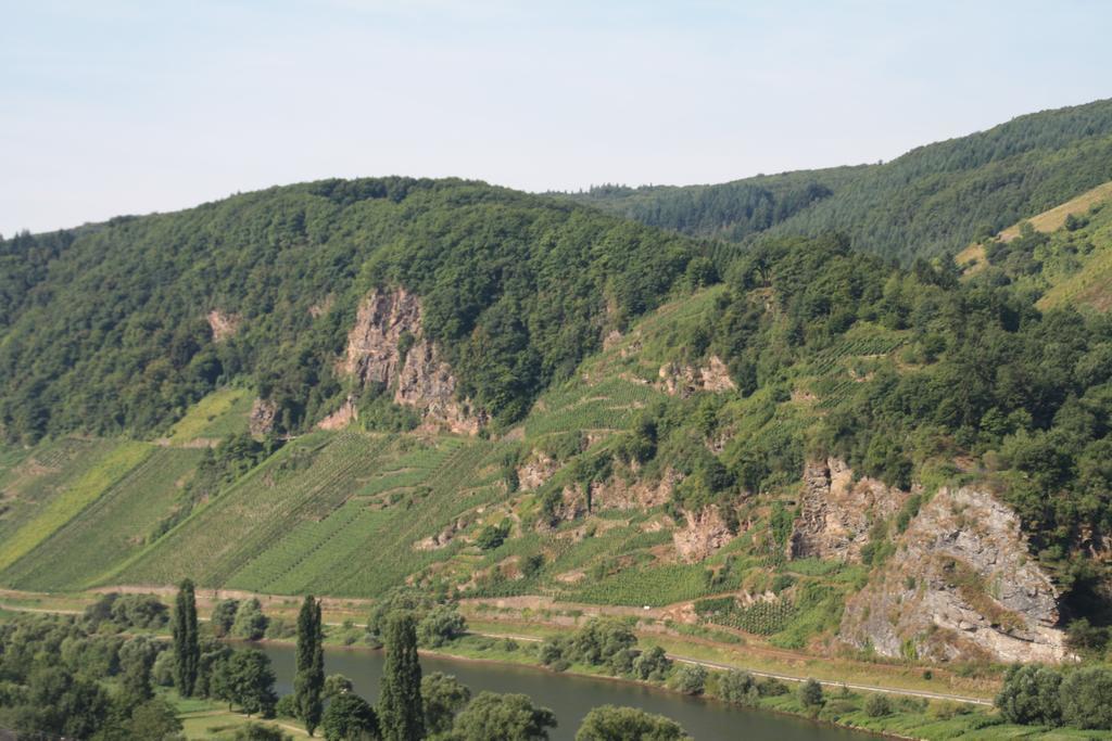 Weingut-Brennerei-Gaestehaus Emil Dauns Reil Exteriér fotografie