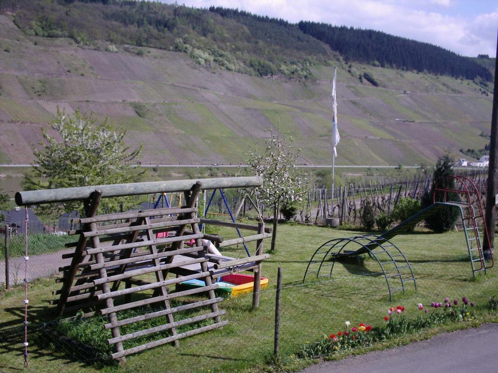 Weingut-Brennerei-Gaestehaus Emil Dauns Reil Exteriér fotografie