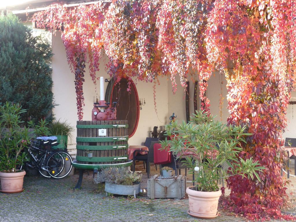 Weingut-Brennerei-Gaestehaus Emil Dauns Reil Exteriér fotografie