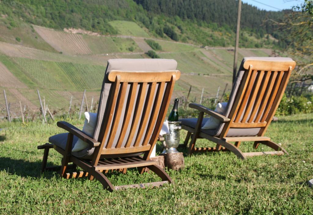 Weingut-Brennerei-Gaestehaus Emil Dauns Reil Exteriér fotografie