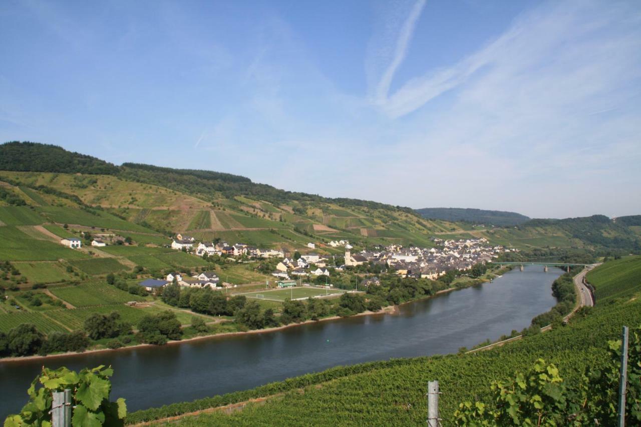 Weingut-Brennerei-Gaestehaus Emil Dauns Reil Exteriér fotografie