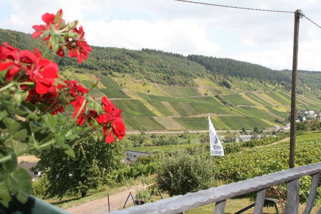 Weingut-Brennerei-Gaestehaus Emil Dauns Reil Exteriér fotografie