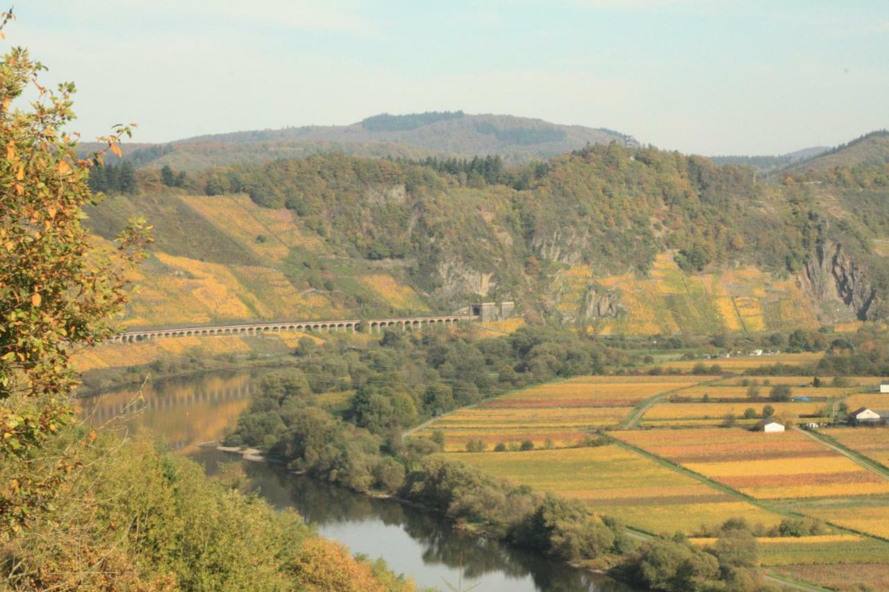 Weingut-Brennerei-Gaestehaus Emil Dauns Reil Exteriér fotografie